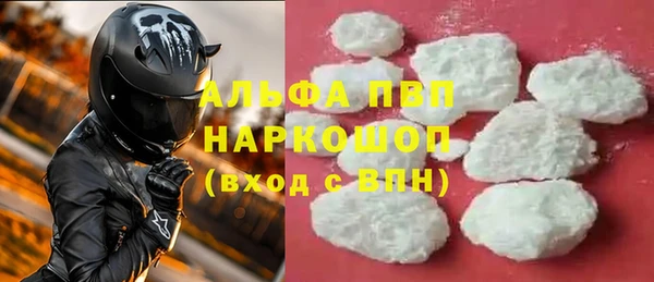 сатива Каменногорск