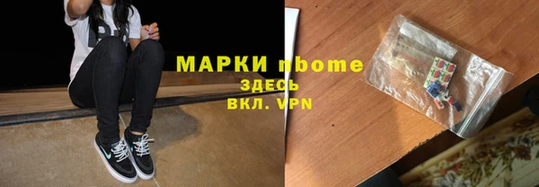 прущие грибы Каменка