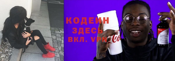 прущие грибы Каменка