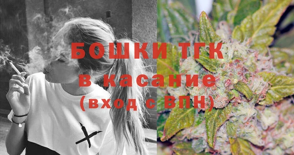 сатива Каменногорск