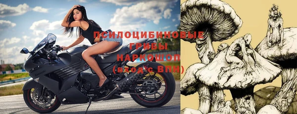 прущие грибы Каменка