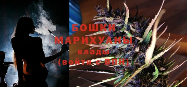 сатива Каменногорск