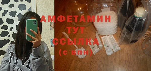 сатива Каменногорск