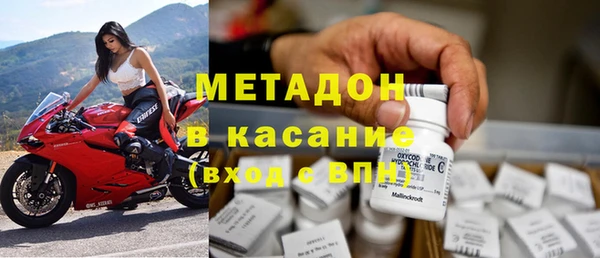 сатива Каменногорск