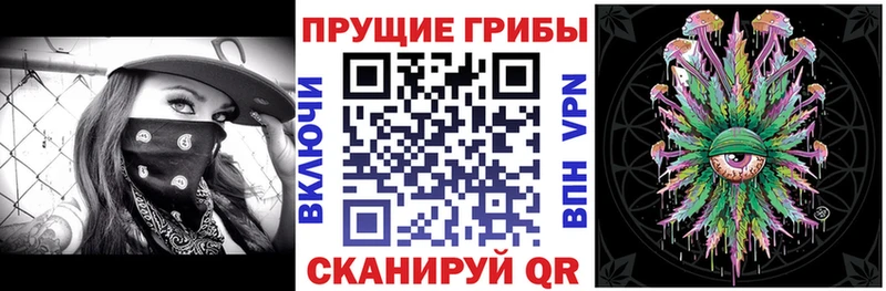 Купить закладки  Красавино  Псилоцибиновые грибы Magic Shrooms 